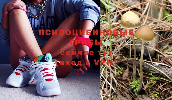 молекула духа Бугульма