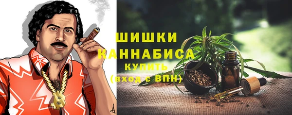 сатива Богородицк