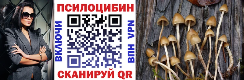 наркотики  Белинский  Псилоцибиновые грибы мицелий 